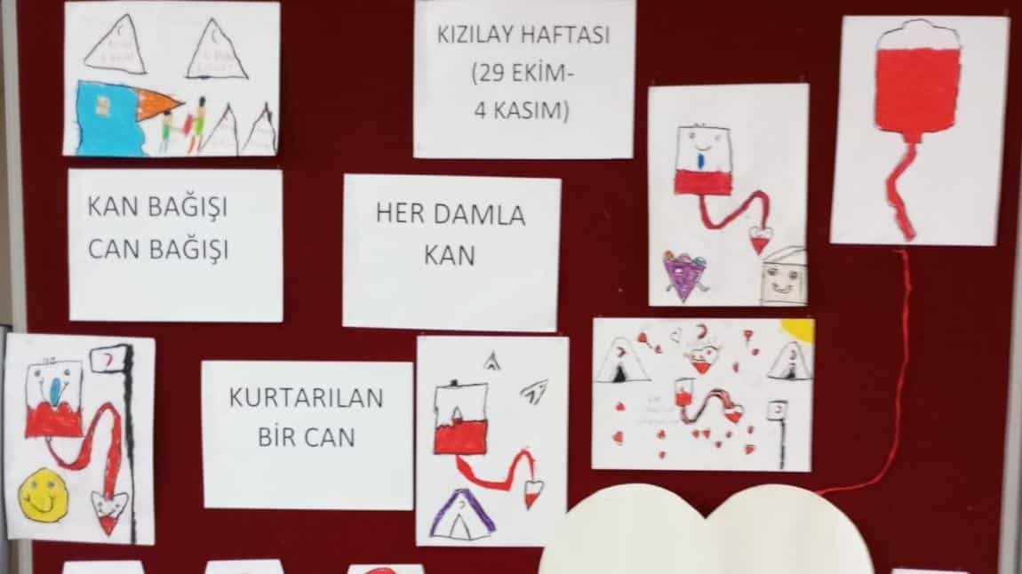 Kan Bağışı Acil Değil Sürekli Bir İhtiyaçtır